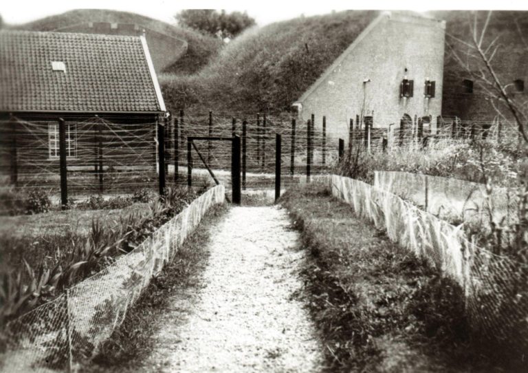 Eindejaarsbijeenkomst